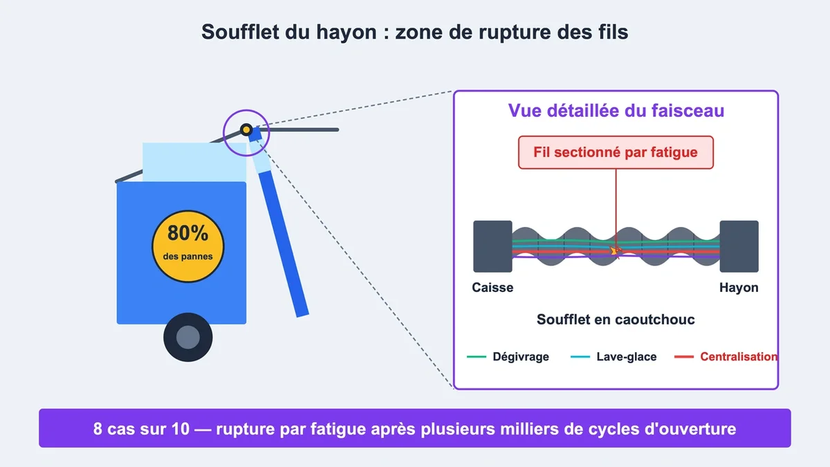 Schéma illustrant les fils sectionnés dans le soufflet d'un hayon automobile avec le faisceau électrique